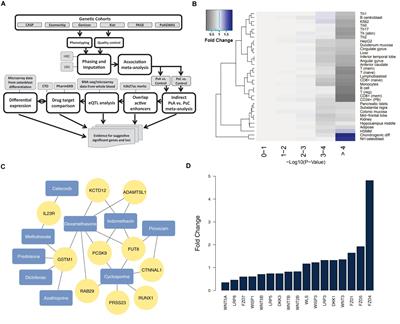 Integrative Approach to Reveal Cell Type Specificity and Gene Candidates for Psoriatic Arthritis Outside the MHC